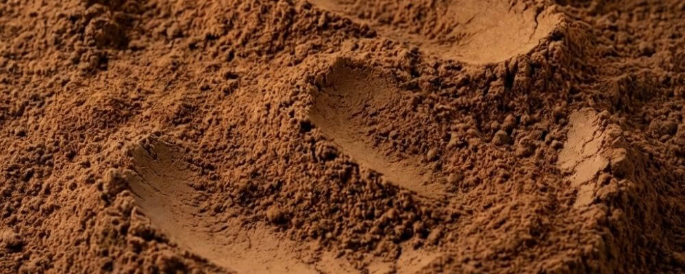 Poudre de costus indien finement moulue, plante naturelle séchée, texture beige claire, aspect brut et homogène