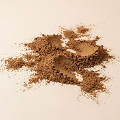 Costus indien en poudre brune, présenté en vrac sur fond beige clair, texture naturelle de racine moulue.