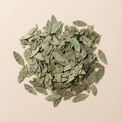 Feuilles de séné Sana Makki séchées en vrac, disposées sur fond beige clair, plante utilisée en infusion.