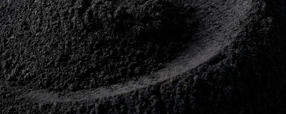 Poudre de nigelle issue de graines moulues, texture fine et sombre, matière végétale naturelle, aspect brut