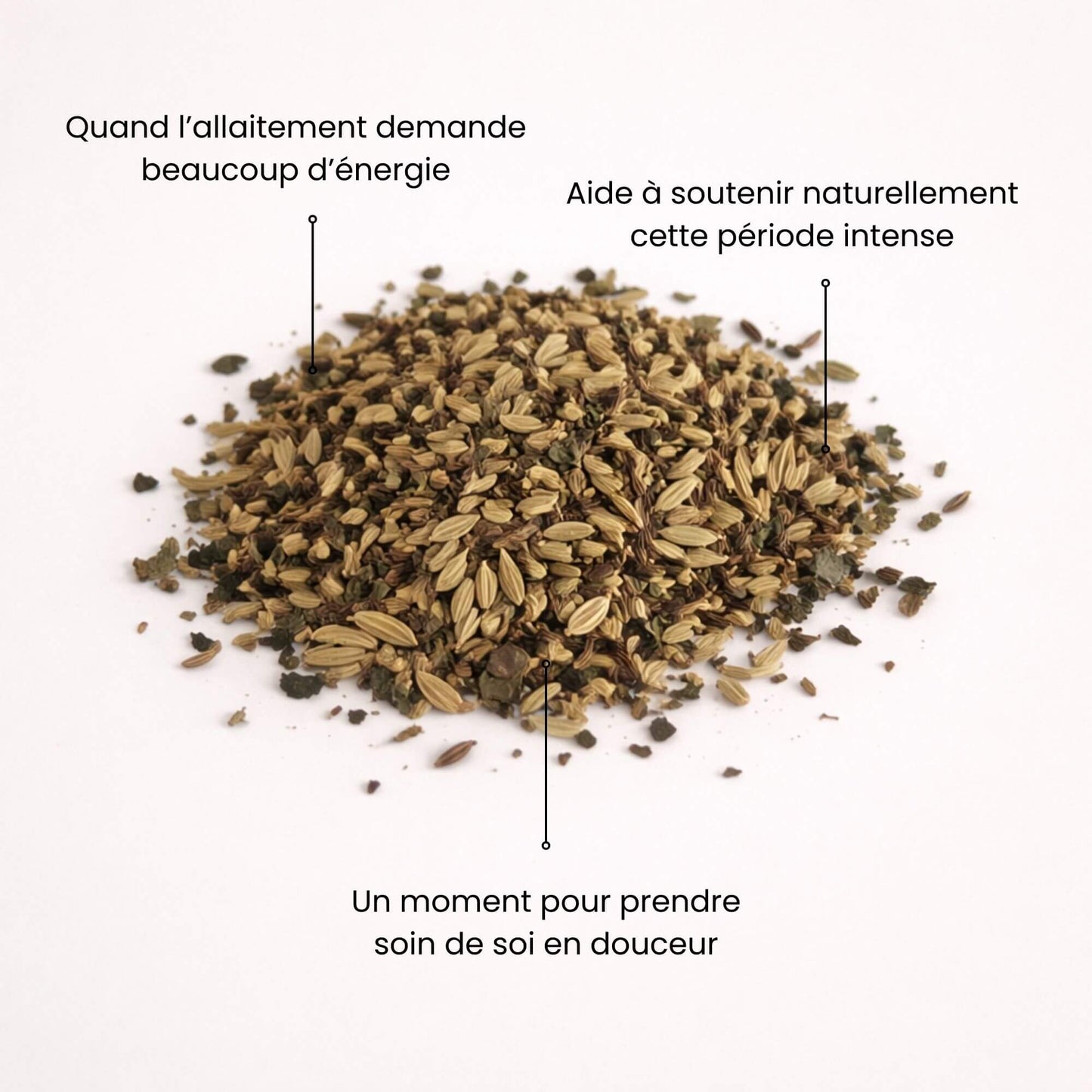 Graines et plantes séchées pour tisane allaitement Naturo Sunna, infusion pour accompagner la période de l’allaitement