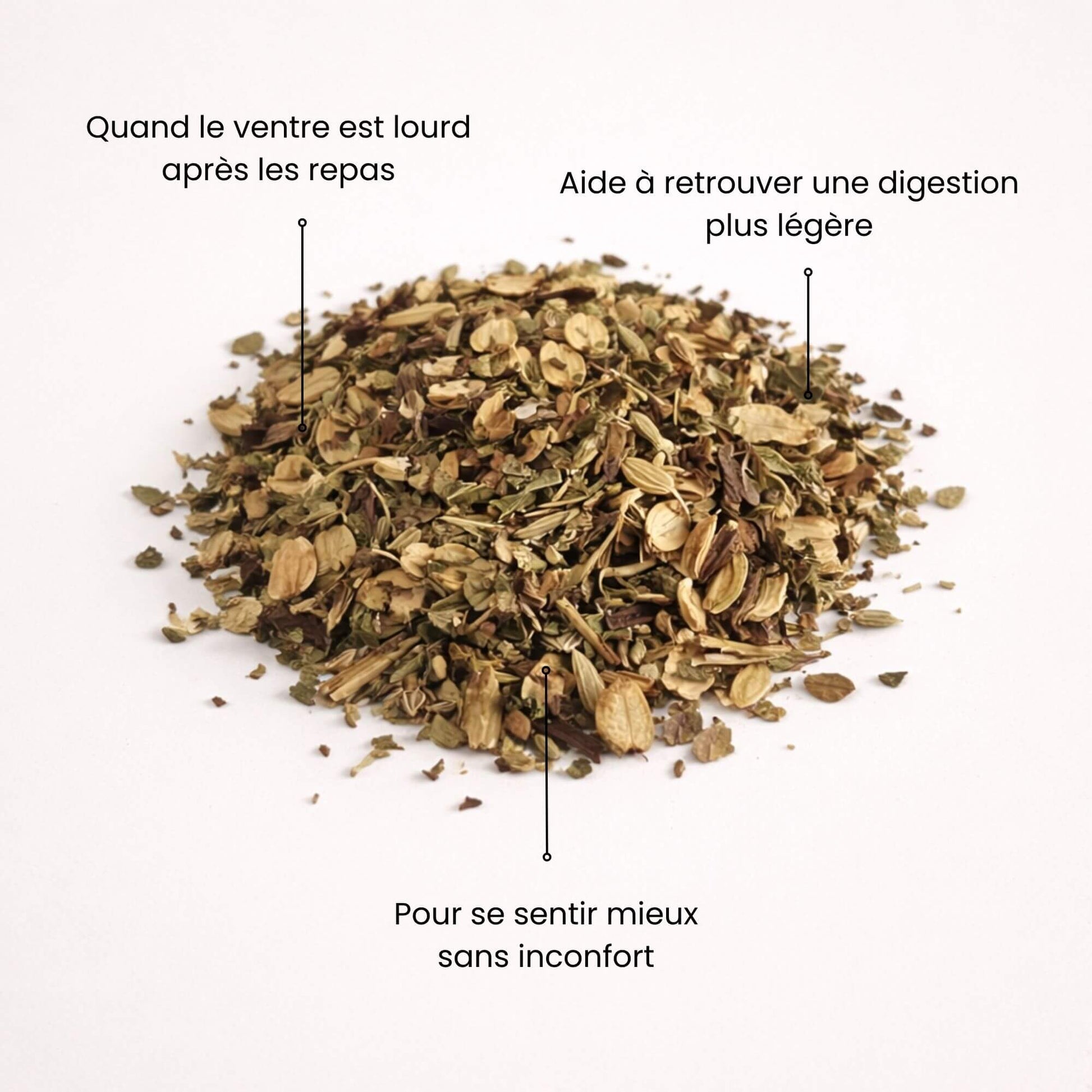 Plantes séchées pour tisane digestion Naturo Sunna, idéale après les repas lorsque le ventre est lourd, digestion plus légère