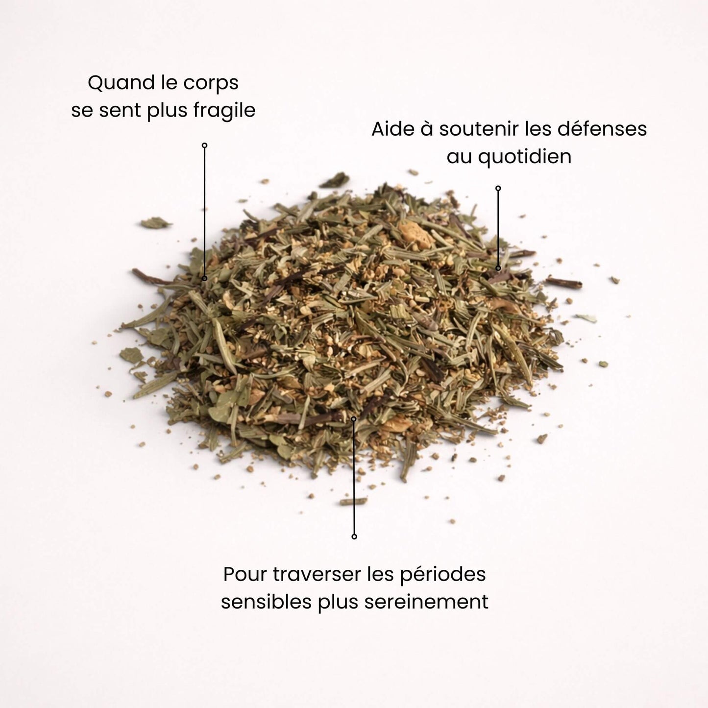 Mélange de plantes pour tisane immunité Naturo Sunna, pensée pour accompagner les périodes où le corps se sent plus fragile