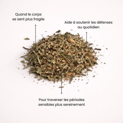 Mélange de plantes pour tisane immunité Naturo Sunna, pensée pour accompagner les périodes où le corps se sent plus fragile