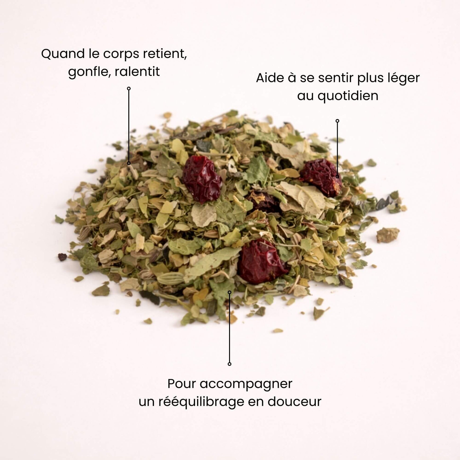 Mélange de plantes séchées pour tisane détox Naturo Sunna, idéale lorsque le corps retient, gonfle et se sent ralenti