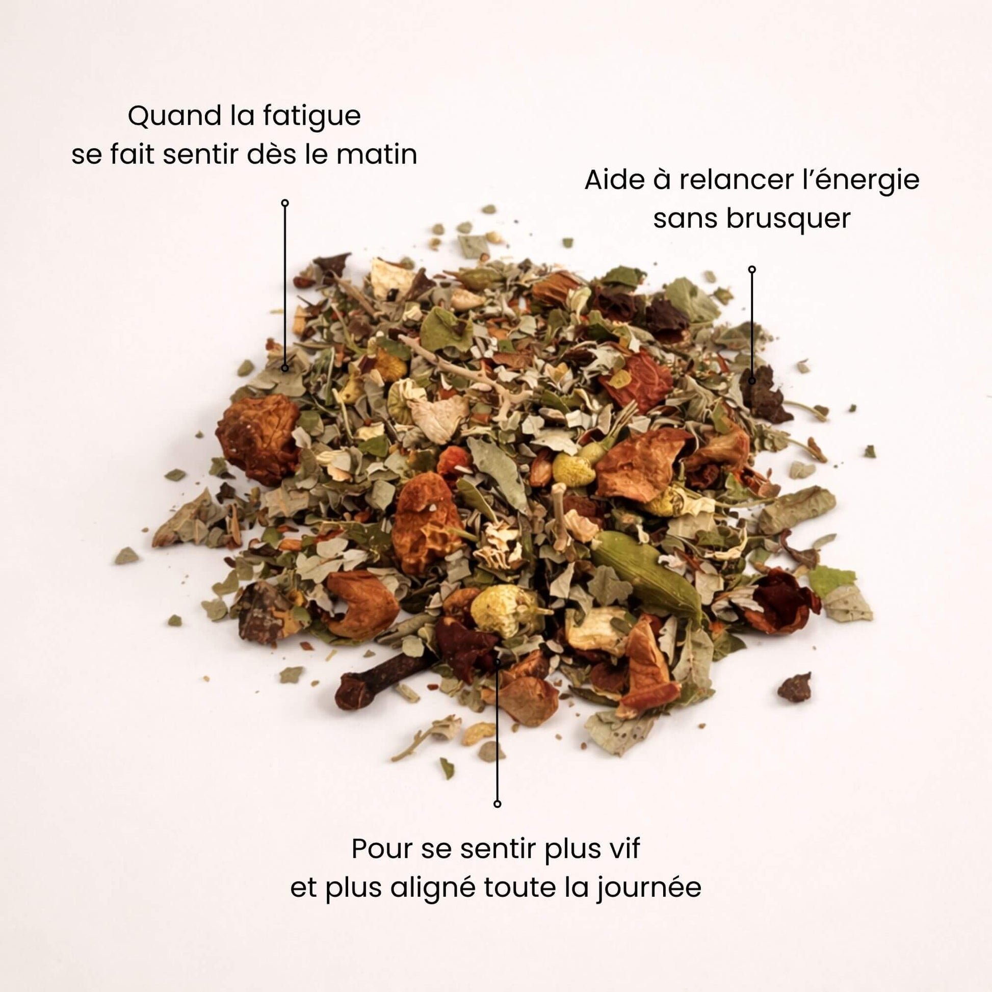 Photo de plantes séchées pour tisane vitalité Naturo Sunna, idéale en cas de fatigue dès le matin, pour relancer l'énergie