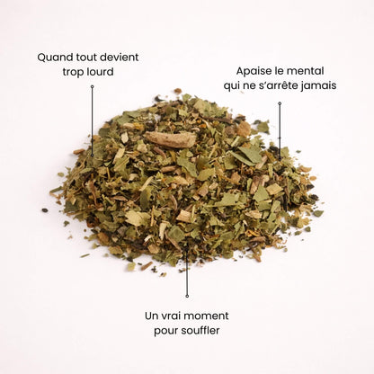 Plantes séchées pour tisane zen Naturo Sunna, favorisant la détente mentale, idéal pour un moment de calme et d'apaisement